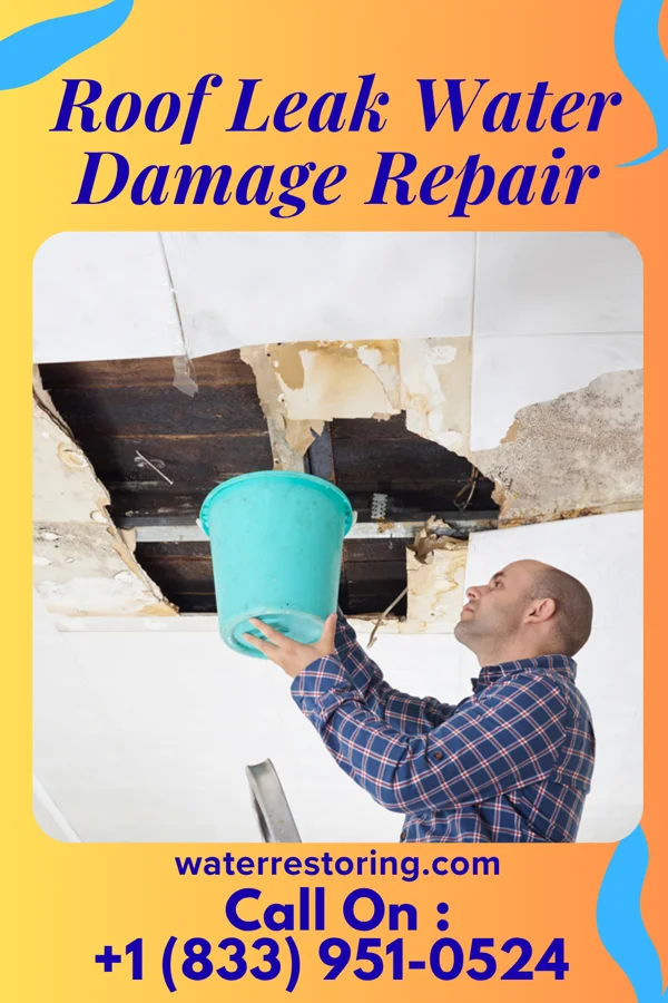 Roof Leak Water Damage Repair in Forest Hills, KY